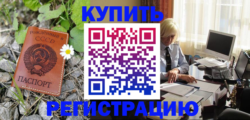 временная регистрация недорого в Александровске